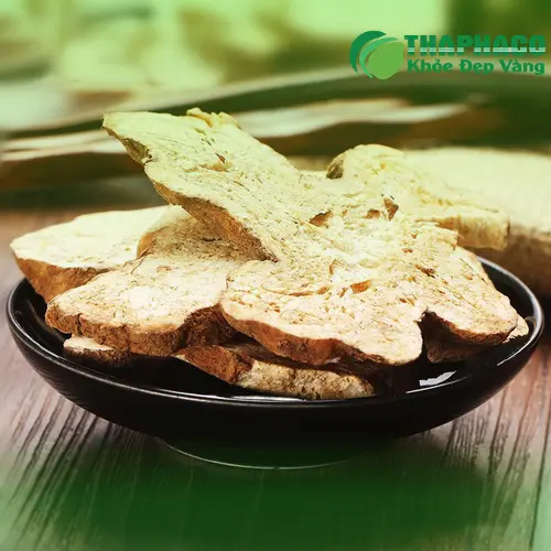 Hình ảnh Bạch Truật khô và lưu ý sử dụng