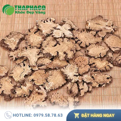 Cách bảo quản Bạch Truật khô hiệu quả