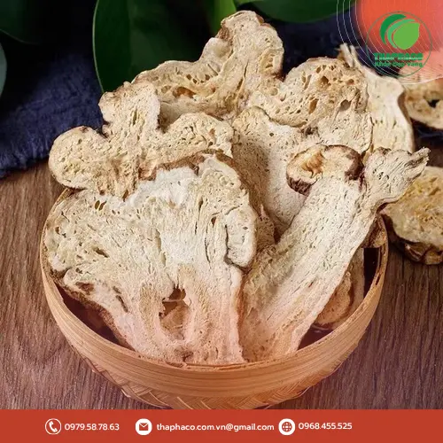 Kiểm tra chất lượng Bạch Truật khô