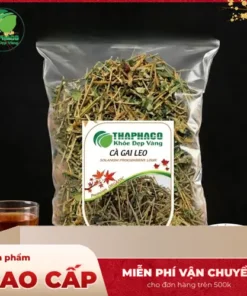 Cà Gai Leo Sấy Khô Giá Tốt THAPHACO: Chất Lượng Ổn Định