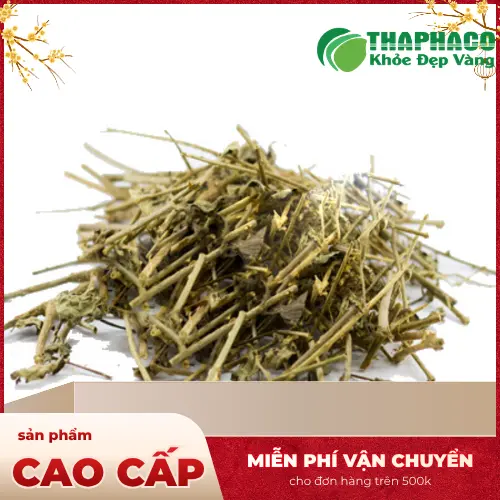 Ly trà cà gai leo ấm nóng