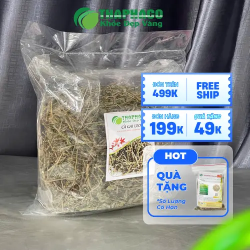 Quy trình sản xuất cà gai leo sấy khô tại THAPHACO