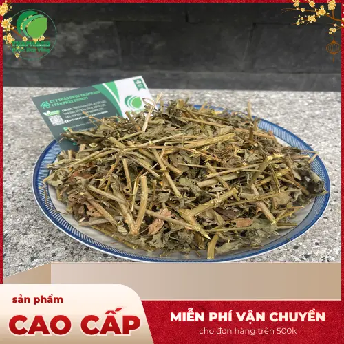 Cách dùng cà gai leo khô hỗ trợ men gan cao