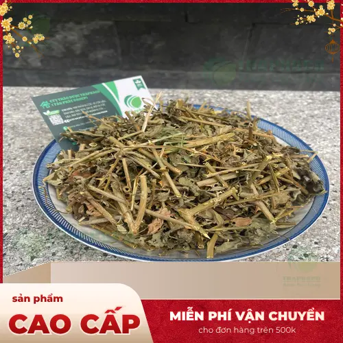 Cà gai leo khô đã được cắt nhỏ và sấy khô