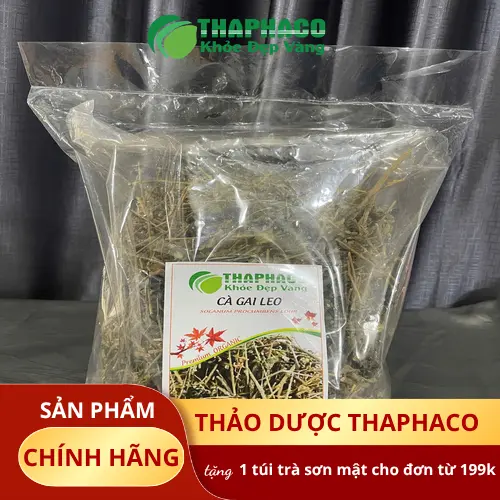 Hình ảnh các loại cà gai leo, nhấn mạnh việc sử dụng an toàn
