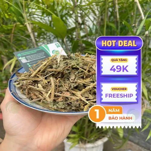 Nước cà gai leo đã pha sẵn trong bình thủy tinh