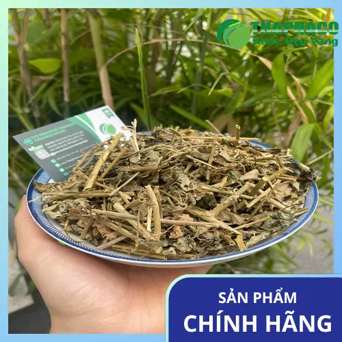 Cà gai leo sấy khô THAPHACO đóng gói thành phẩm