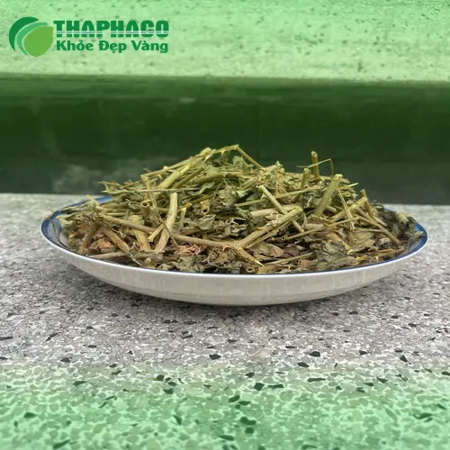 Sản phẩm cà gai leo khô chất lượng của THAPHACO