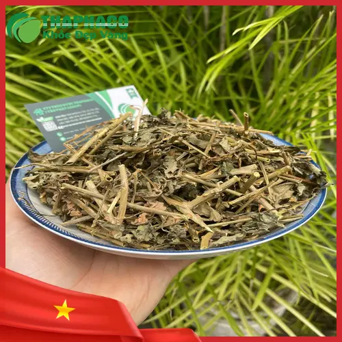 Sản phẩm cà gai leo sấy khô được đóng gói tại THAPHACO