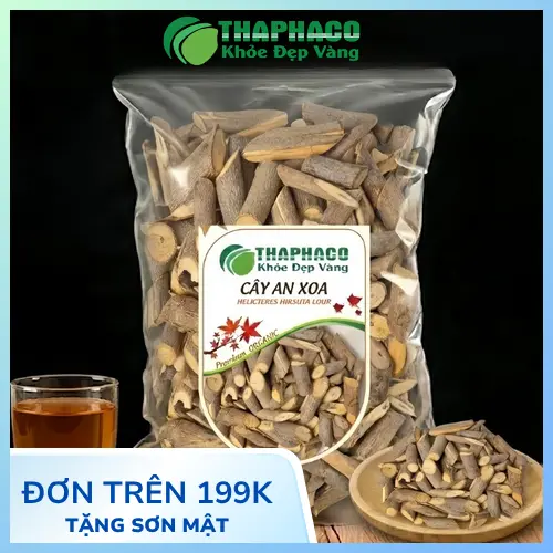 Cây An Xoa mọc tự nhiên