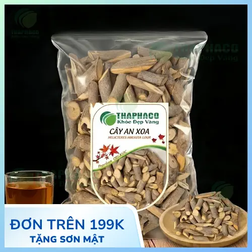 Cây An Xoa tự nhiên tại Việt Nam