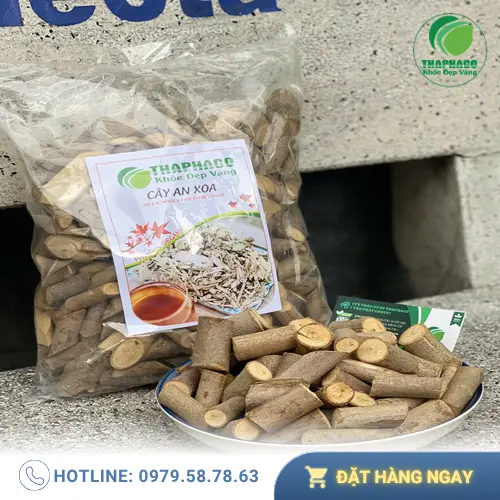 Lợi ích hỗ trợ của cây an xoa sấy khô