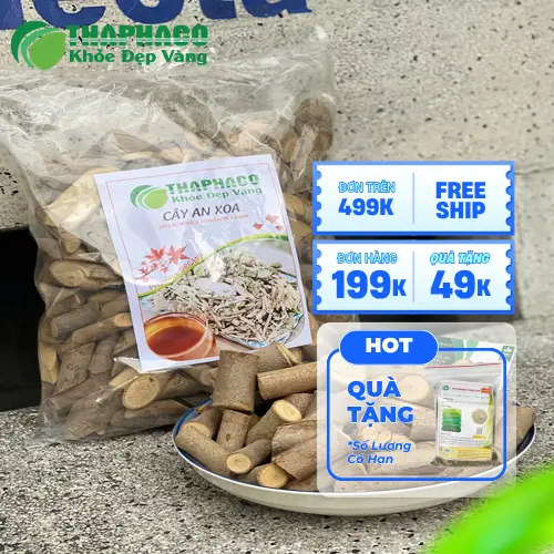 Cận cảnh các thành phần của cây an xoa đã được sấy khô