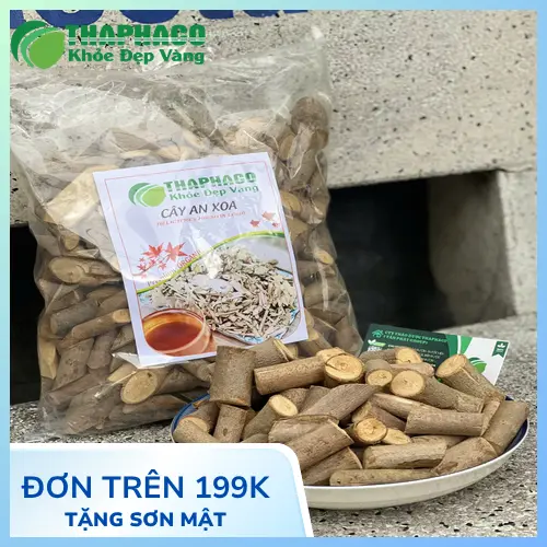 Cách hãm trà cây an xoa khô tiện lợi