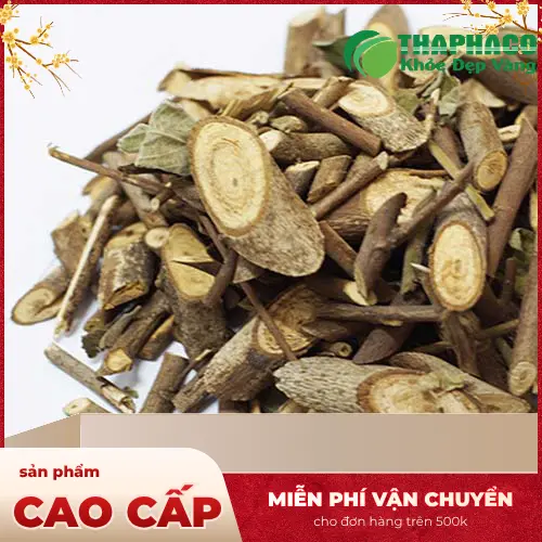 Hình ảnh minh họa gan và hệ tiêu hóa được bảo vệ