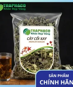 Mua Cây Cối Xay Ở Đâu Uy Tín Tại TP.HCM