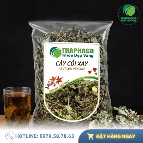 Cây cối xay khô sau khi được thu hoạch và làm sạch tại THAPHACO