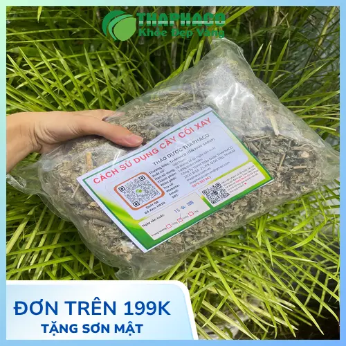 Cây Cối Xay hỗ trợ sức khỏe xương khớp