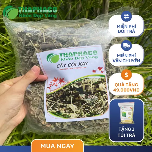 Đặc điểm lá và thân của cây cối xay khô được THAPHACO chọn lọc