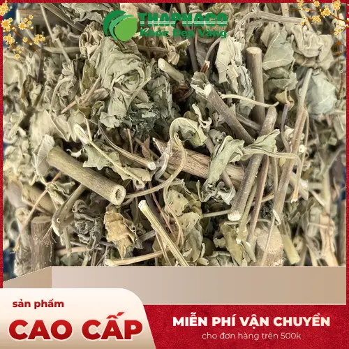 Pha trà cối xay khô tiện lợi tại nhà để hỗ trợ sức khỏe