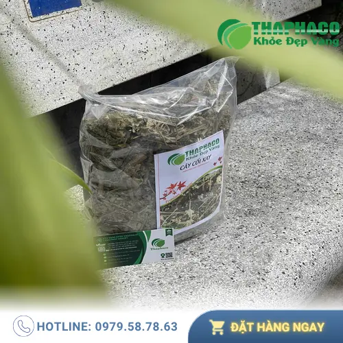 Địa chỉ THAPHACO tại TP.HCM