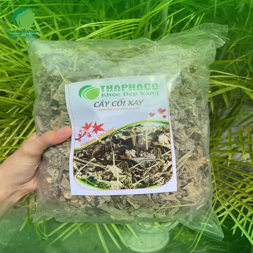 Địa chỉ mua Cây Cối Xay uy tín tại THAPHACO