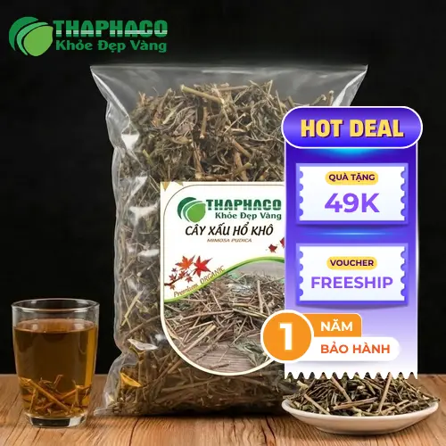 Cây xấu hổ khô Thaphaco