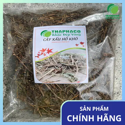 Cây xấu hổ có tác dụng an thần nhẹ