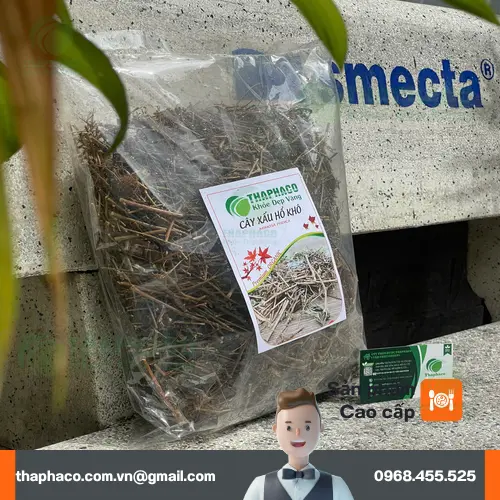 Phân tích khoa học về hoạt chất trong cây xấu hổ