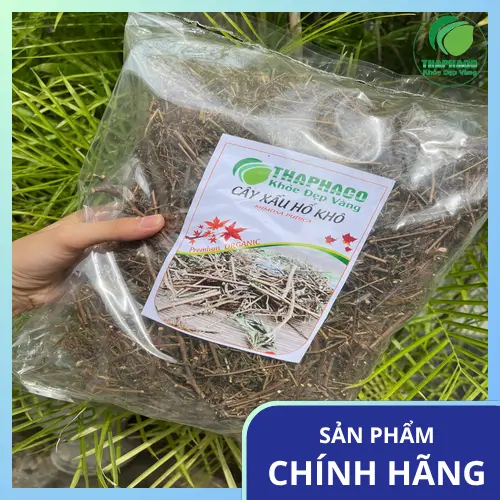 Cách dùng cây xấu hổ an toàn và hiệu quả