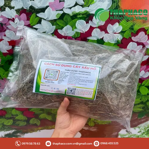 Lưu ý khi sử dụng cây xấu hổ để đảm bảo an toàn