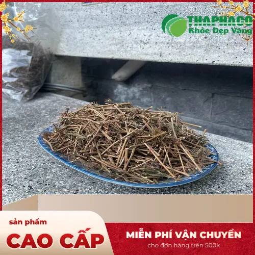 Những ai không nên dùng cây xấu hổ
