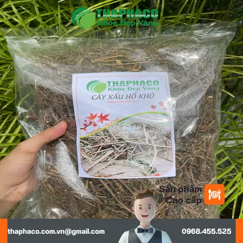Sản phẩm cây xấu hổ khô tại THAPHACO