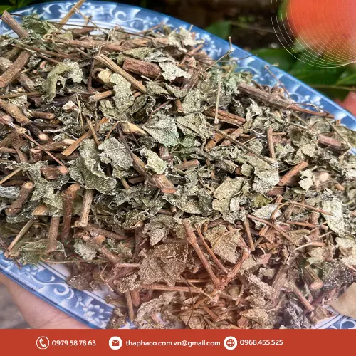 Chè dây chất lượng của THAPHACO