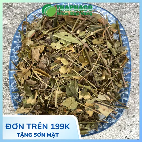 Công dụng hỗ trợ lợi sữa của chè vằng khô cho phụ nữ sau sinh
