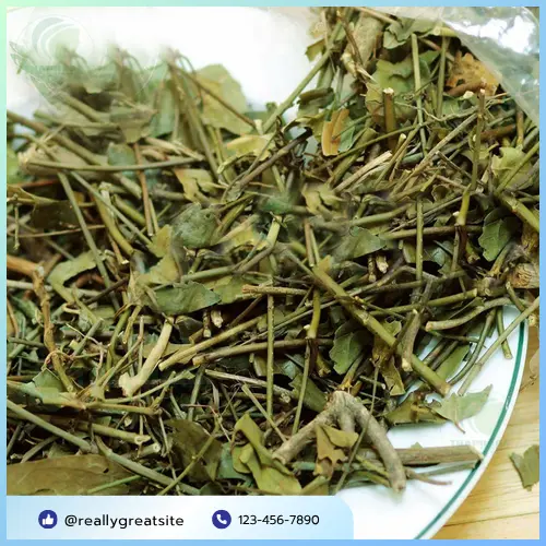 Chè vằng khô THAPHACO - thức uống thanh nhiệt tự nhiên.