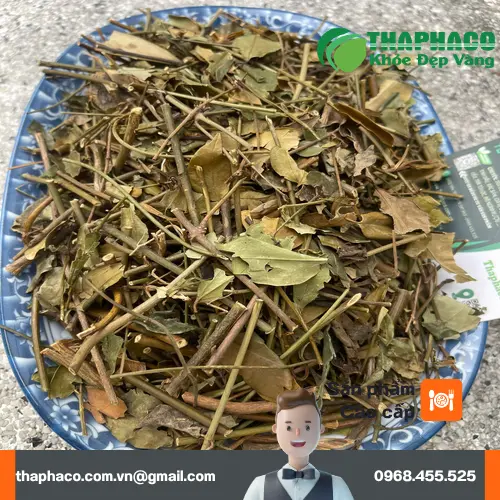 Hướng dẫn cách dùng và pha chế trà vằng khô an toàn