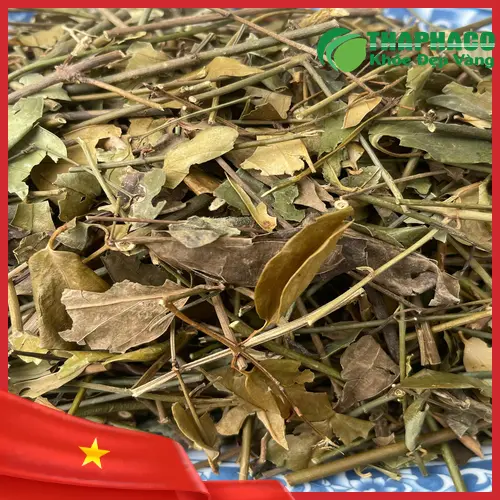 THAPHACO - đối tác cung cấp thảo dược sỉ uy tín.