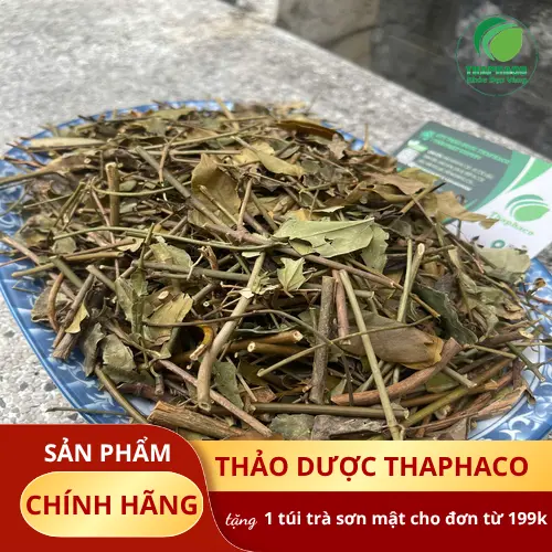 Pha chè vằng sấy khô đúng cách