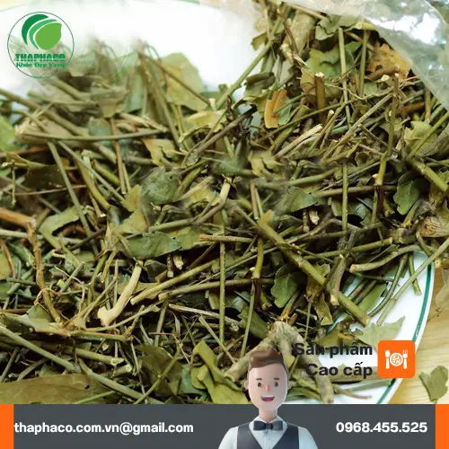 Cách nấu nước chè vằng khô đúng cách