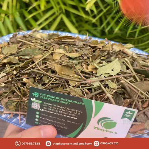 Một ly nước chè vằng khô đã pha sẵn, màu vàng nâu đẹp mắt