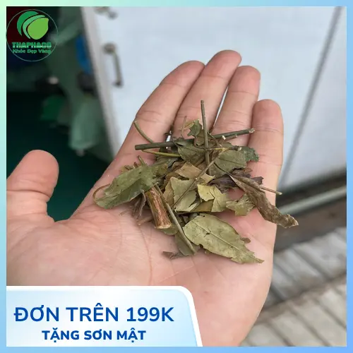 Mua chè vằng THAPHACO tại TP.HCM