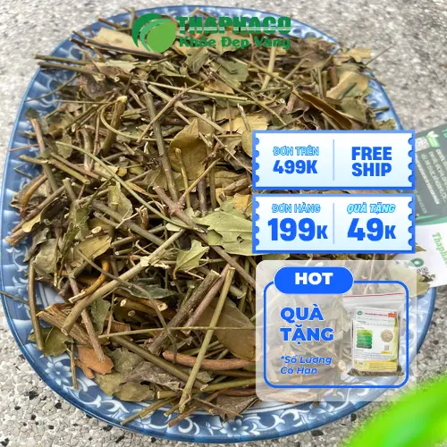Chọn mua chè vằng khô chất lượng tại các địa chỉ uy tín
