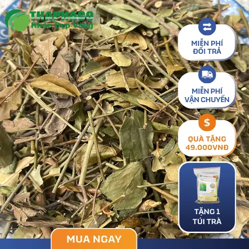 Sản phẩm chè vằng sấy khô đóng gói tại THAPHACO