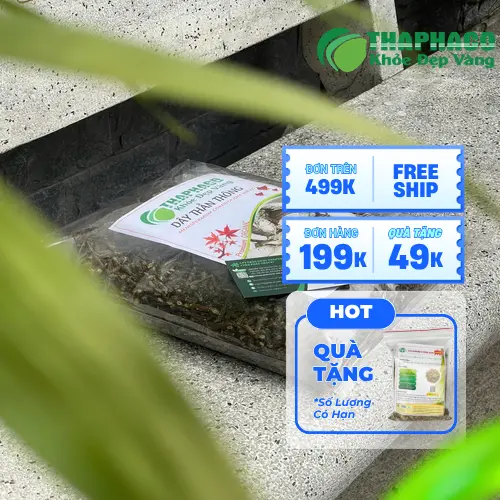 Nơi bảo quản dây thần thông khô