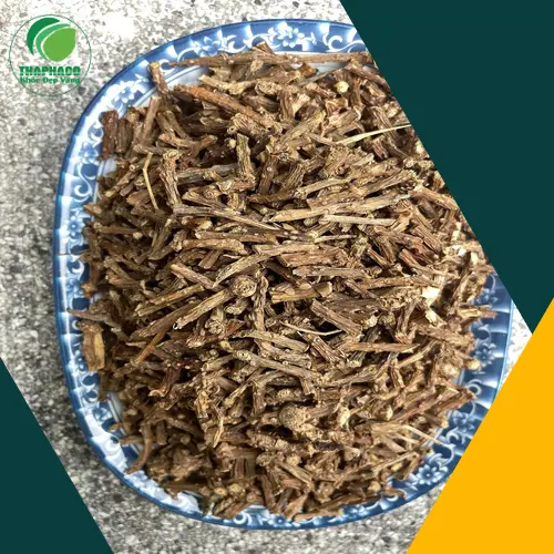 Người bệnh cần tham vấn ý kiến chuyên gia trước khi dùng Dây Thần Thông