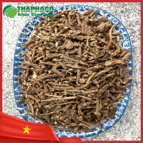 Dây Thần Thông tươi tại vườn