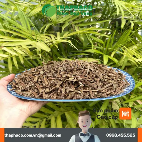 Nguyên tắc an toàn khi dùng Dây Thần Thông