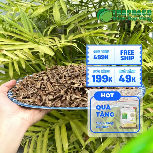 Dây Thần Thông Khô chất lượng cao từ THAPHACO