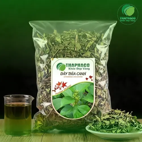 Hình ảnh cây Dây Thìa Canh mọc hoang dã